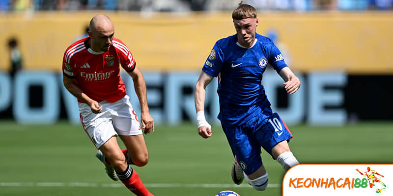 Tương Quan Lực Lượng & Chiến Thuật