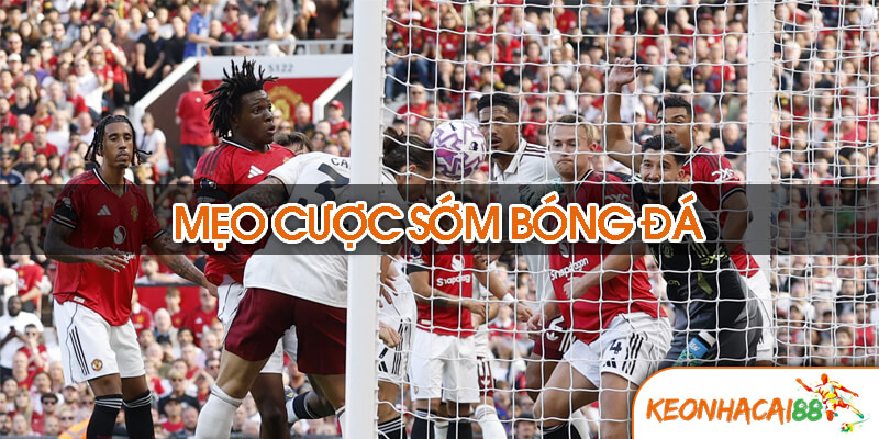 cuoc som bong da2 Mẹo cược sớm bóng đá hiệu quả: Bí quyết giúp bạn đi trước thị trường